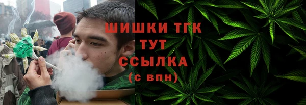 дмт Богородицк