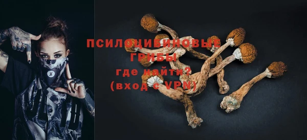 бошки Богданович