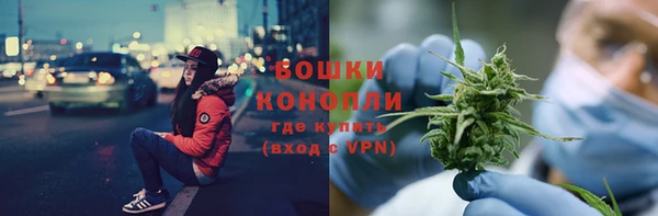 бошки Богданович