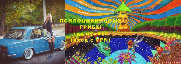 бошки Богданович