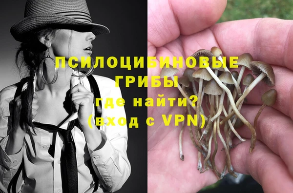 бошки Богданович