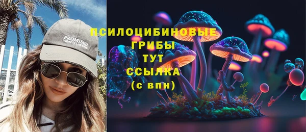 бошки Богданович