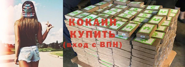 дмт Богородицк